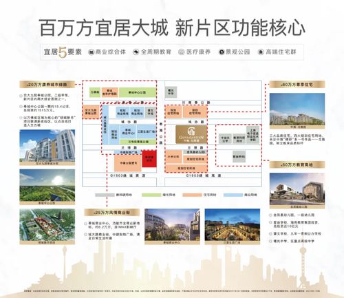 上海临港 最新官方公告,买房的进来看看 地段绝佳,买就对了